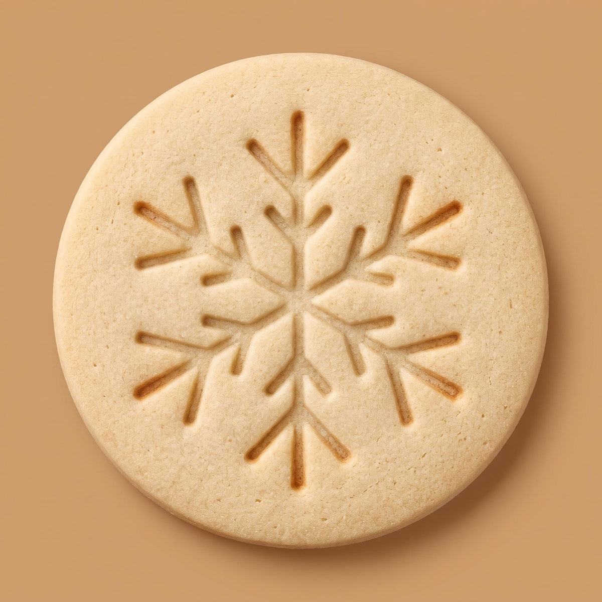 Holiday Gingerbread House Stamp & Bake Cookie Decorating Kit